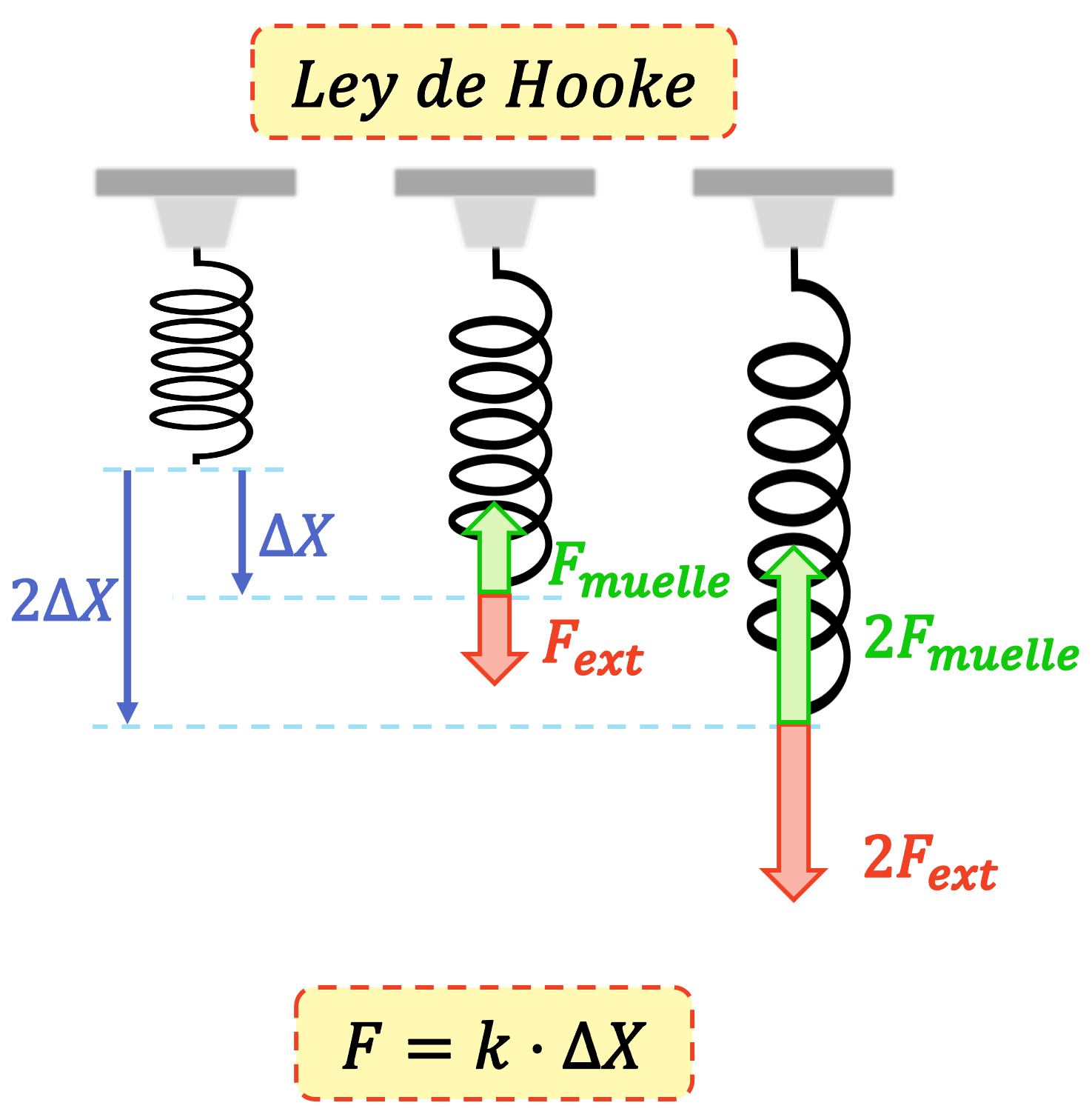 La legge di Hooke