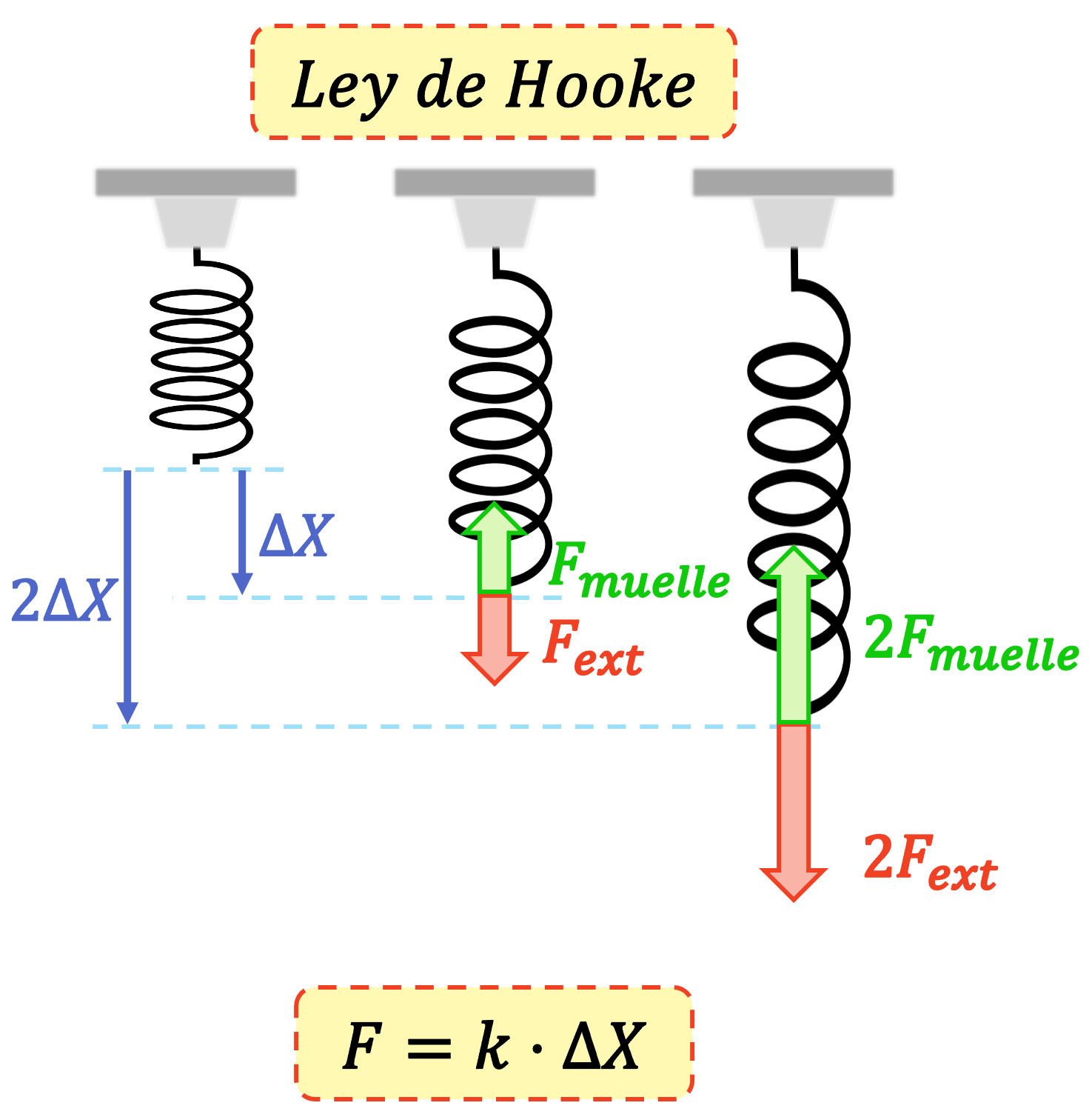 la loi de Hooke