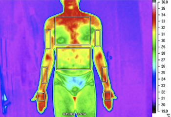thermogramme du corps humain